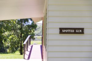 Sherwood Farm - Spotted Gum